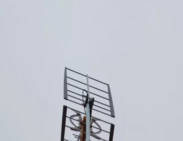 Mastil y cableado de television en Alpedrete